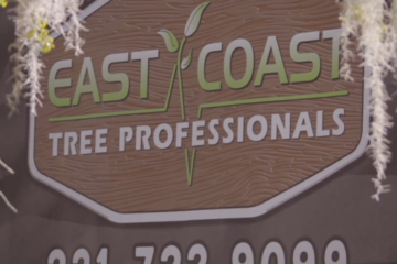 east coast tree professionals certified arborists tree removal crane palm bay
